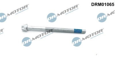 Fotografia produktu DR MOTOR DRM01065 śruba wtryskiwacza   DB A KLASA W168 1,7CDI 01-